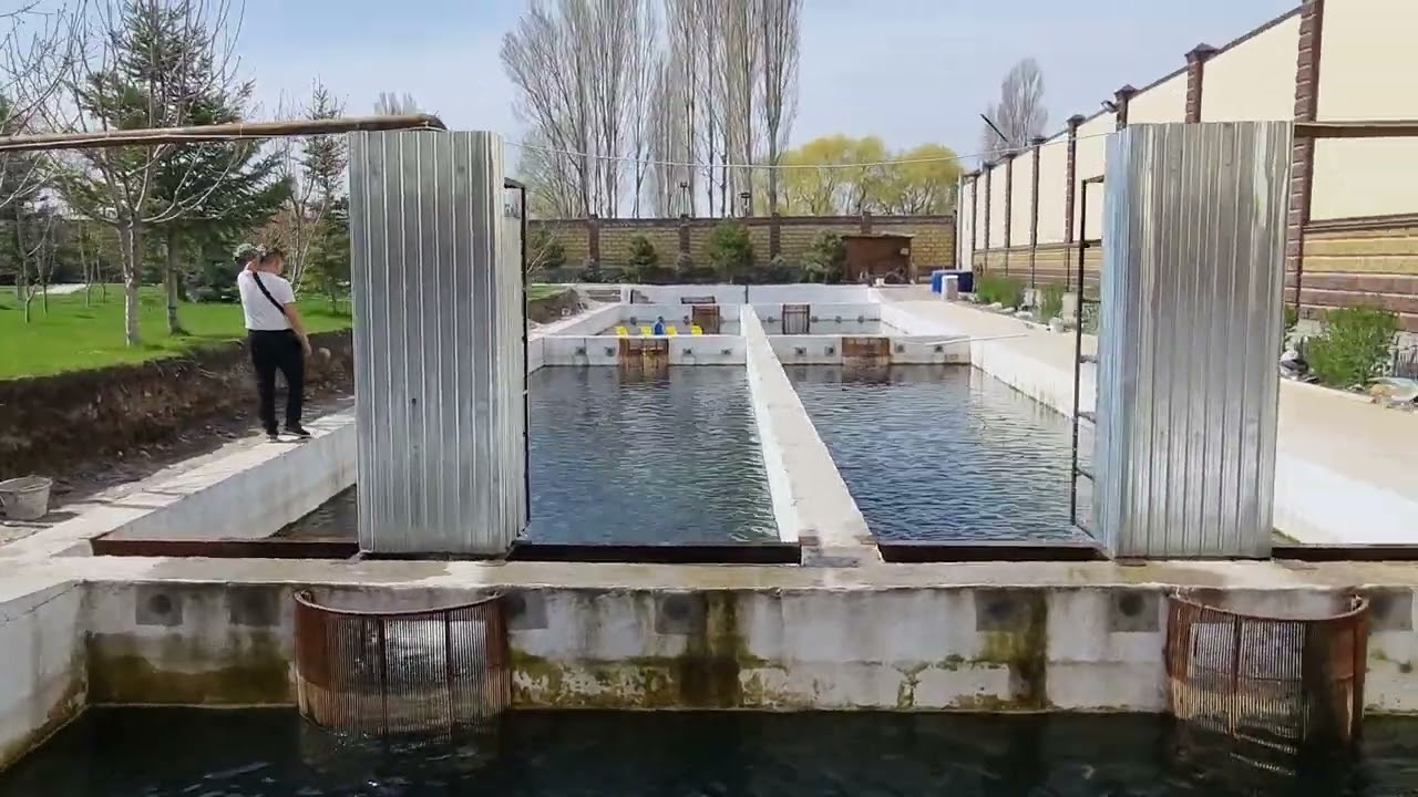 Форелевое хозяйство